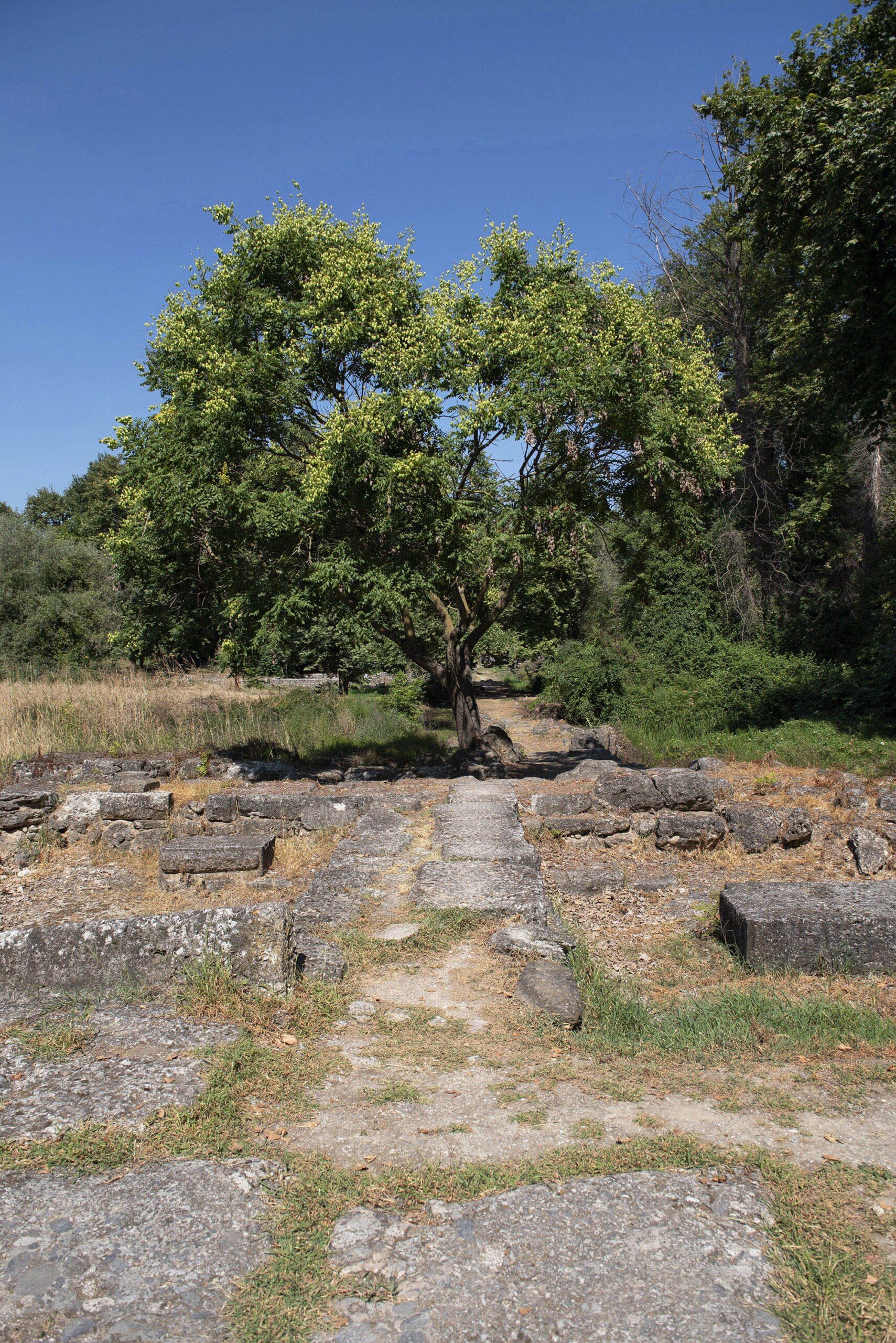 ΤΟΠΟΙ ΓΙΑ ΠΕΡΙΠΑΤΗΜΑΤΑ ΚΟΝΤΑ ΣΤΗΝ ΠΙΕΡΙΑ
