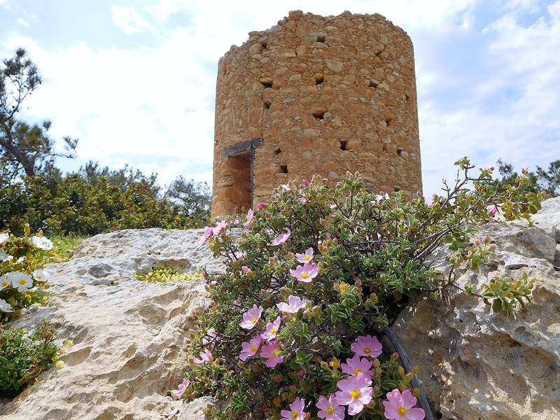 Ανακαλύπτοντας την Άνοιξη στην Μαγική Γαύδο
