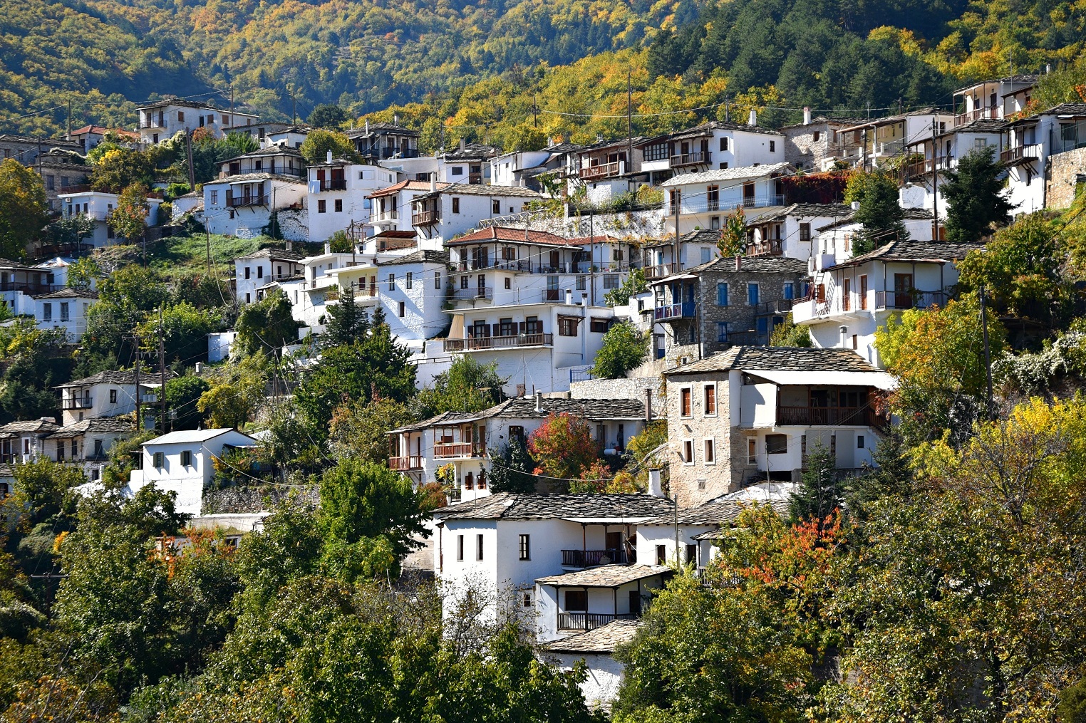 4 φθινοπωρινές γιορτές σε ορεινά χωριά της Ελλάδας που αποθεώνουν τον καρπό της εποχής: το κάστανο
