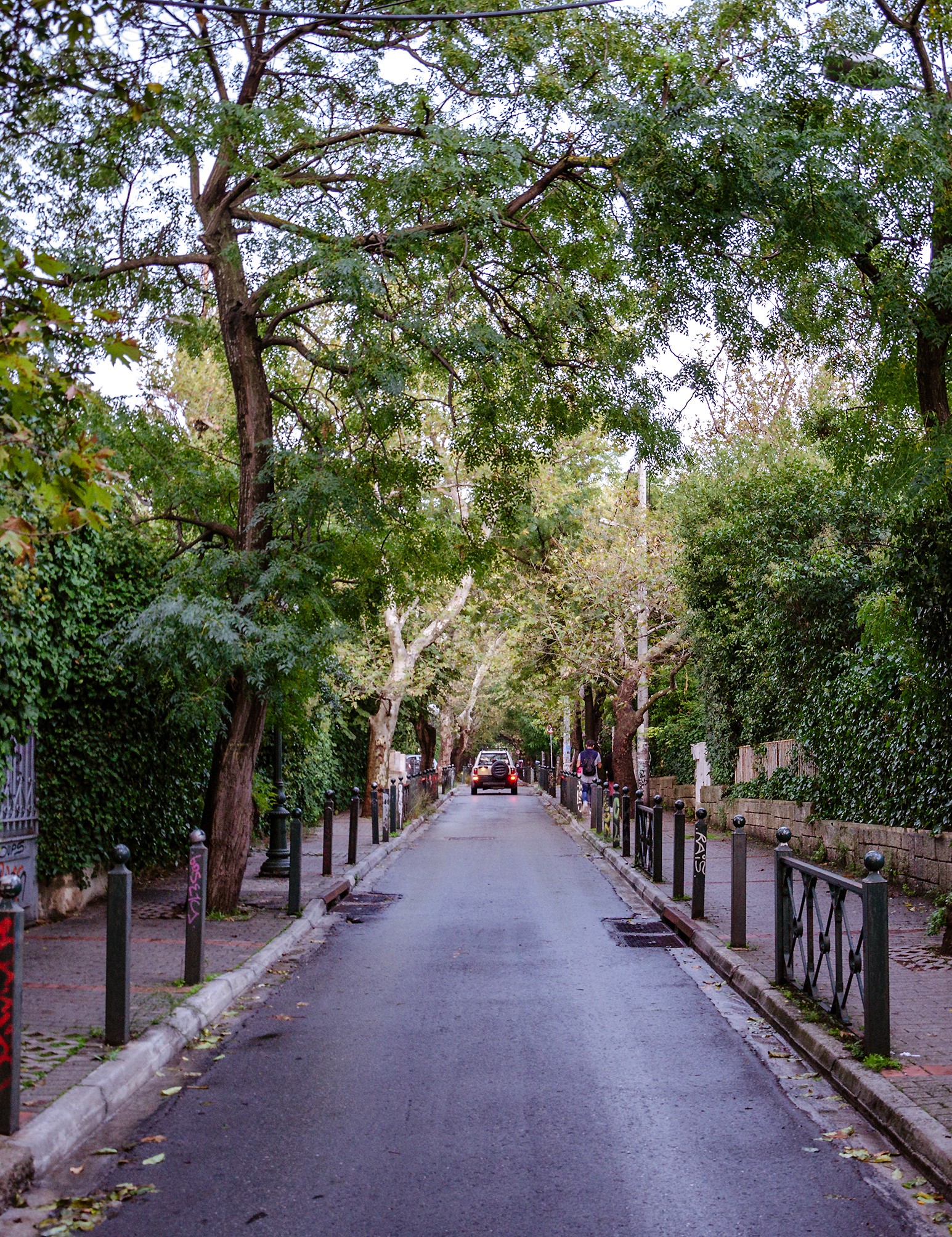 Καταπράσινα προάστια: Μία ματιά σε 3 διαμερίσματα και μια διώροφη μονοκατοικία προς πώληση
