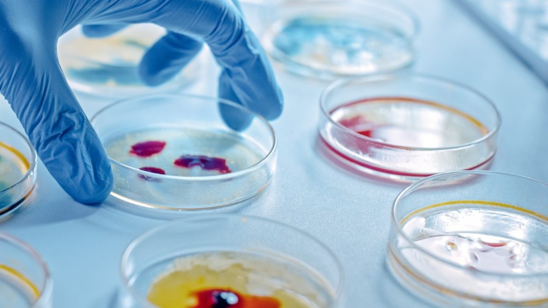 Ελλάδα: Η αναμνηστική θέση στην ΕΕ σε θανάτους από λοιμώξεις – Ένα νέο σχέδιο για τα αντιβιοτικά
