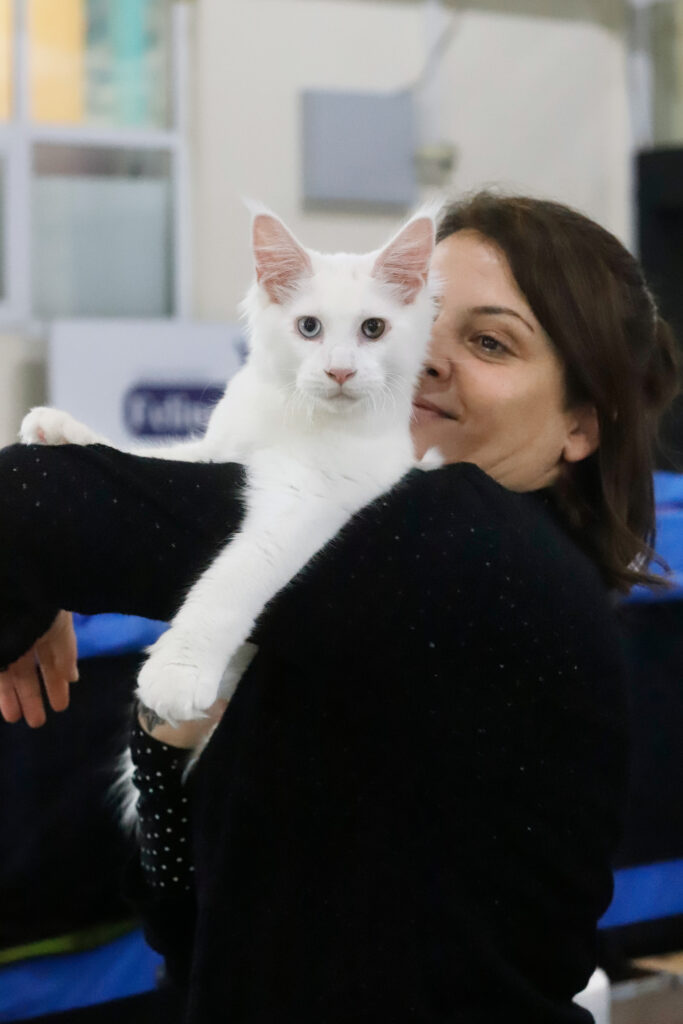 Επιτυχημένη γιορτή γάτας CAT EXPO 2024: Μια γιορτή γεμάτη από γάτες και αγάπη
