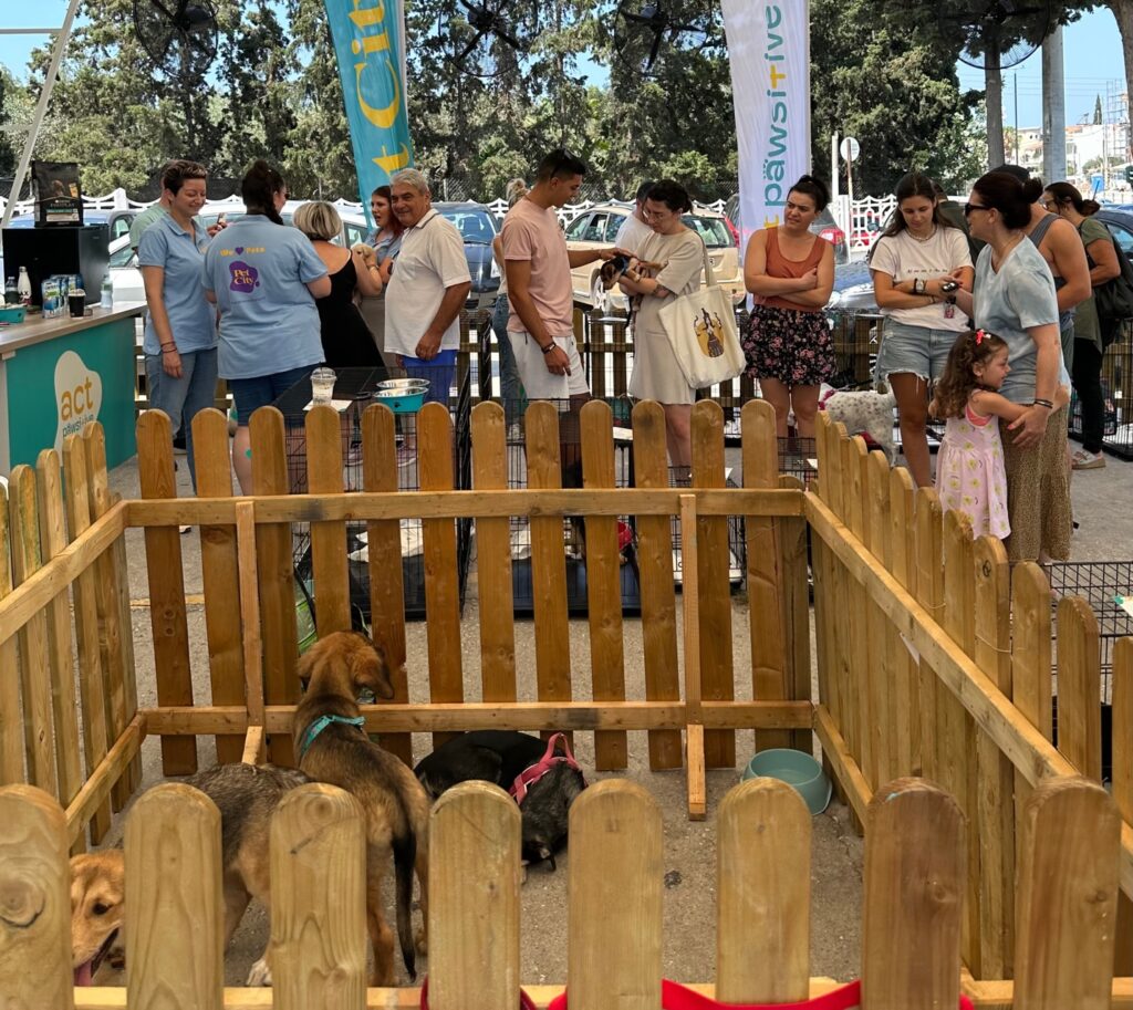 Νέος Άνεμος Υιοθεσίας στην Pet City: Ξεκινώντας τη χρονιά με Αγάπη και Ελπίδα
