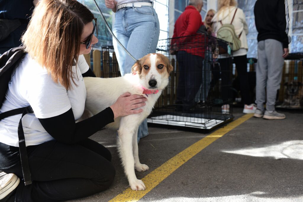 Νέος Άνεμος Υιοθεσίας στην Pet City: Ξεκινώντας τη χρονιά με Αγάπη και Ελπίδα
