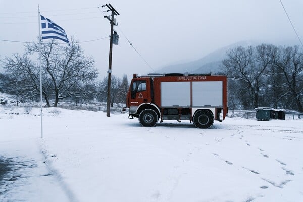 Το μαγικό πανίδα των χιονισμένων Πρεσπών

