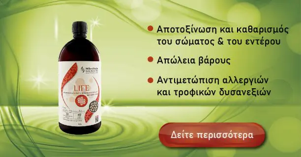 Το MikroVeda Life: Ένα πρωτοποριακό προβιοτικό σύμπλεγμα για την υγεία του εντέρου
