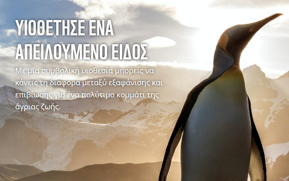 10 Ιδέες για να Εντυπωσιάσετε τους Φιλόζωους: Δώρα που θα τους Ξετρελάνουν!

