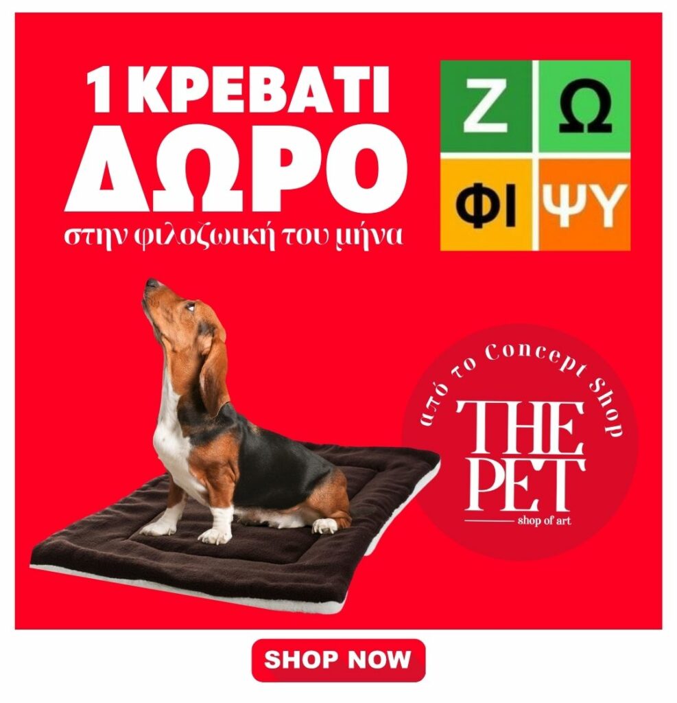 10 Ιδέες για να Εντυπωσιάσετε τους Φιλόζωους: Δώρα που θα τους Ξετρελάνουν!
