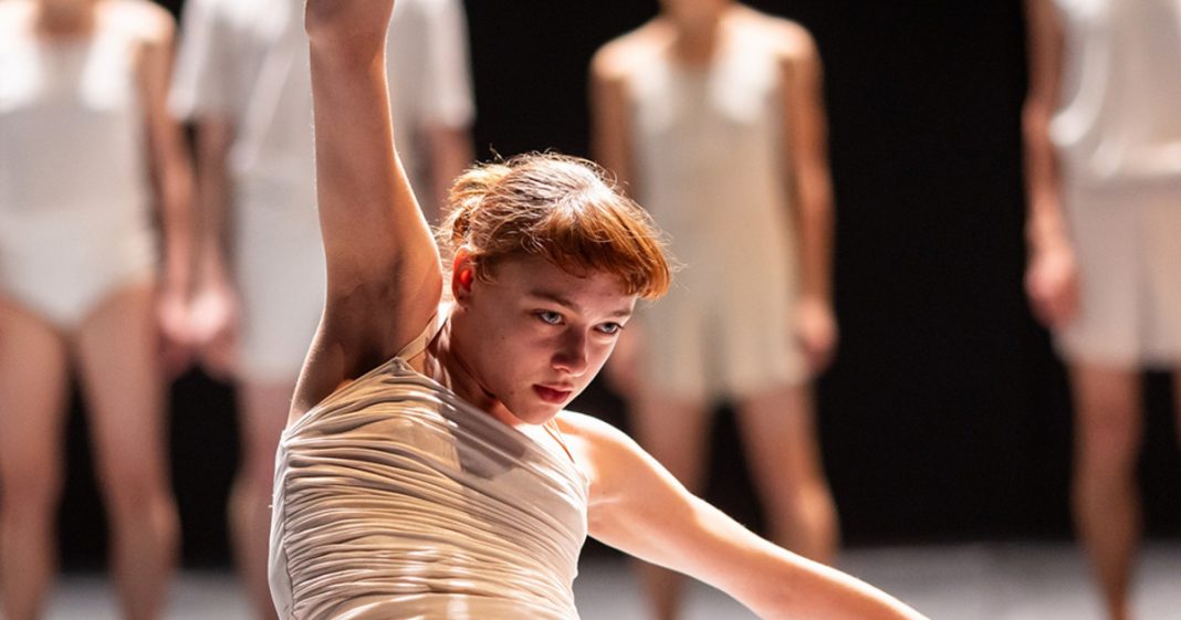 Ακύρωση παραστάσεων Batsheva Ensemble: Μια αναπάντεχη απογοήτευση
