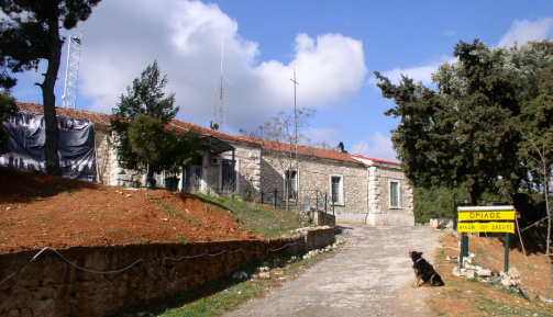 Αναβάθμιση και αξιοποίηση του Τατοΐου: Ένα νέο κεφάλαιο για τον πρωτεύοντα προορισμό
