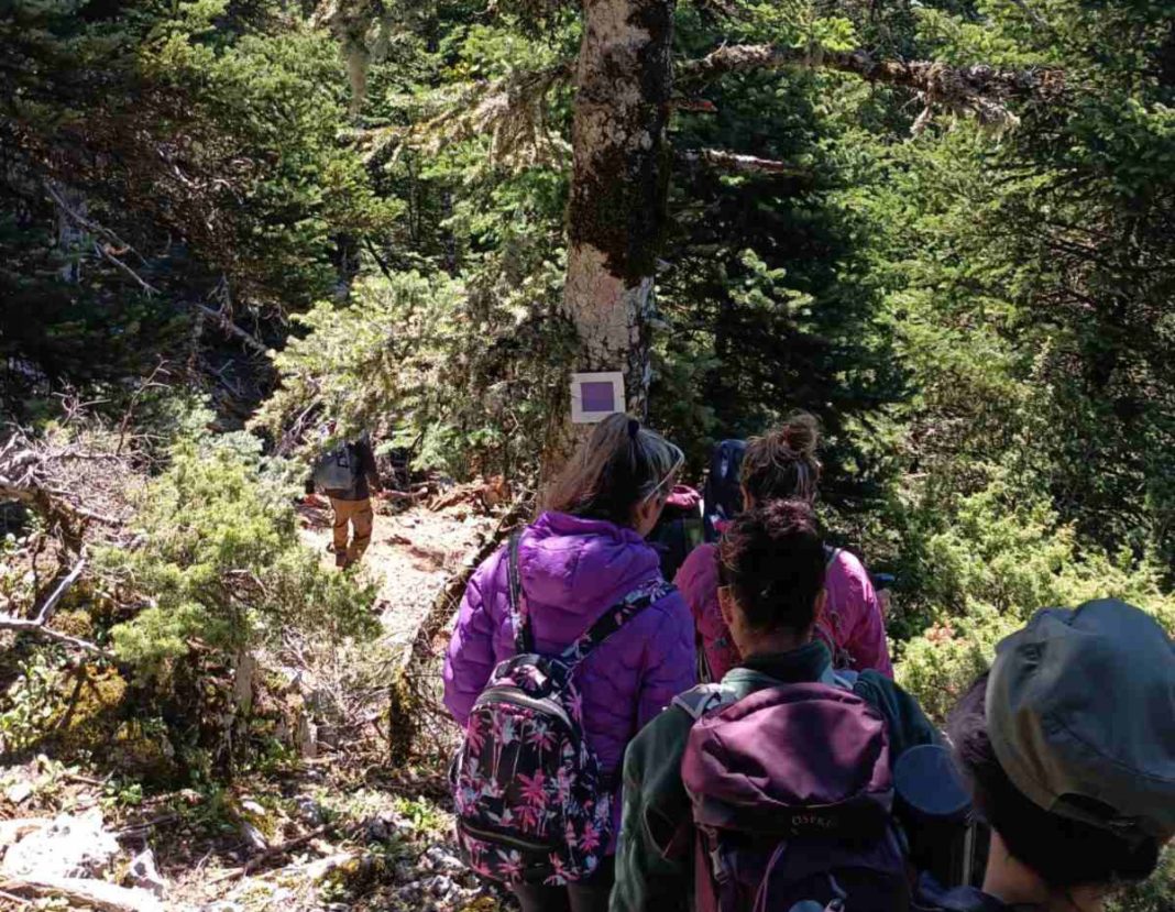 Ενίσχυση της δασοπροστασίας στην Πάρνηθα: Νέες πρωτοβουλίες και εκπαίδευση
