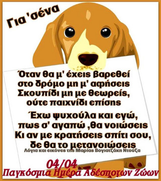 Η δύναμη της αγάπης: Η Παγκόσμια Ημέρα των Αδέσποτων Ζώων"
