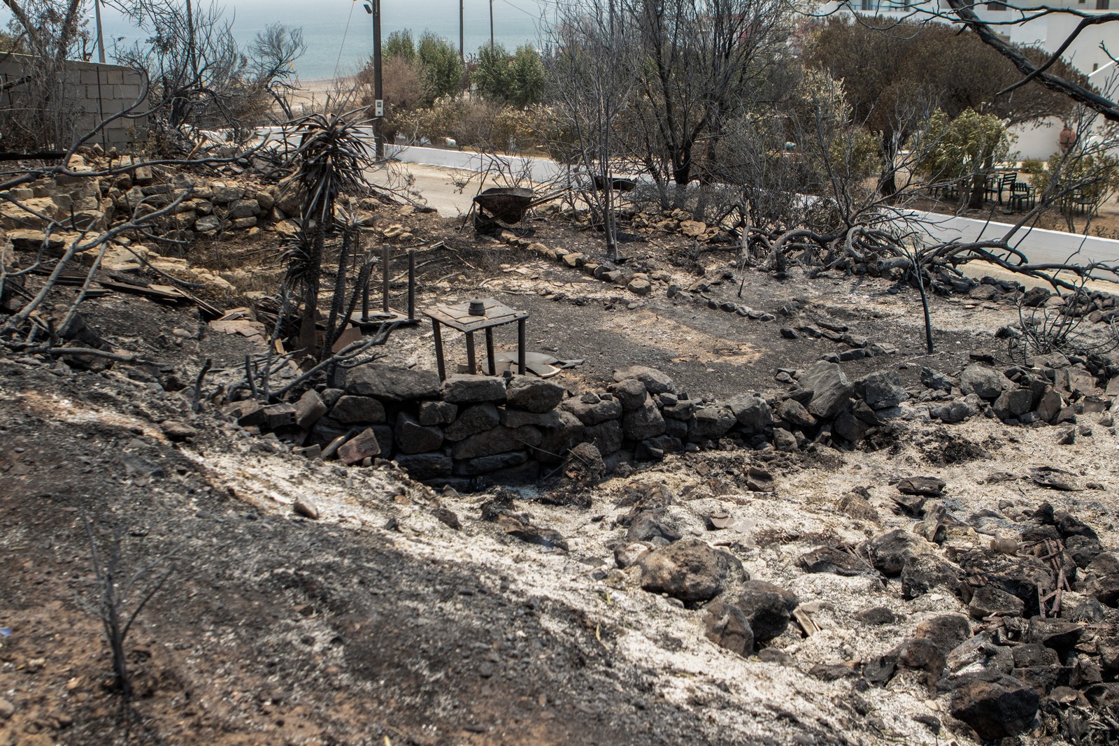
                        Η ΜΙΚΡΟΣΚΟΠΙΚΗ ΑΠΕΙΛΗ ΠΟΥ ΜΠΟΡΕΙ ΝΑ ΜΑΣ ΣΚΟΤΩΣΕΙ, ΒΡΙΣΚΕΤΑΙ ΣΤΟΝ ΑΕΡΑ ΠΟΥ ΑΝΑΠΝΕΟΥΜΕ                    