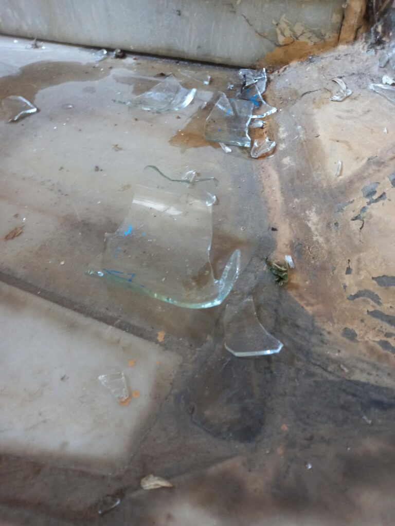Ηρωική διάσωση γάτας από τον βίαιο περιορισμό ενός γυάλινου βάζου
