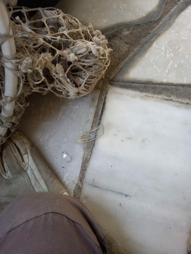 Ηρωική διάσωση γάτας από τον βίαιο περιορισμό ενός γυάλινου βάζου
