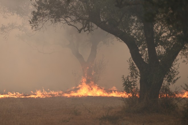 Κινδυνολογία: Προστατευτείτε από τον τοξικό καπνό των πυρκαγιών και τα σωματίδια που εκπέμπονται
