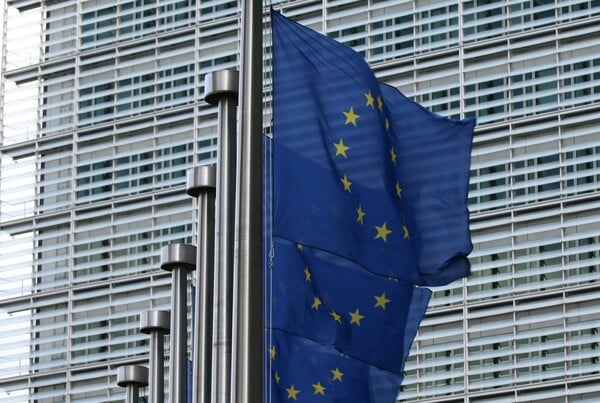 Νέος νόμος για τη φύση: Η Ευρωπαϊκή Ένωση ψηφίζει υπέρ της αποκατάστασης του περιβάλλοντος
