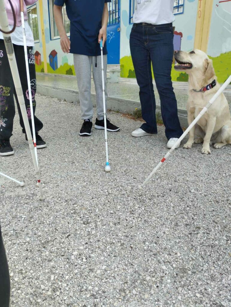 Οι κατοικίδιοι ήρωες: Πώς οι σκύλοι αλλάζουν τις ζωές των ατόμων με αναπηρία
