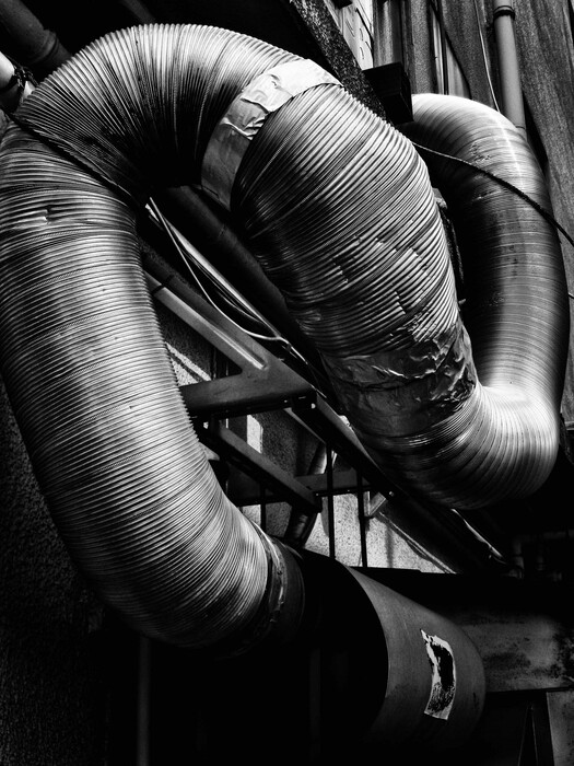 Οι μαγευτικές φωτογραφίες του Daido Moriyama που απεικονίζουν τις αδέσποτες γάτες του Τόκιο
