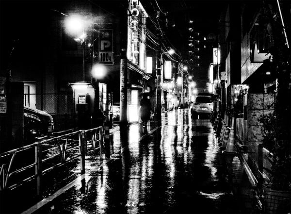 Οι μαγευτικές φωτογραφίες του Daido Moriyama που απεικονίζουν τις αδέσποτες γάτες του Τόκιο
