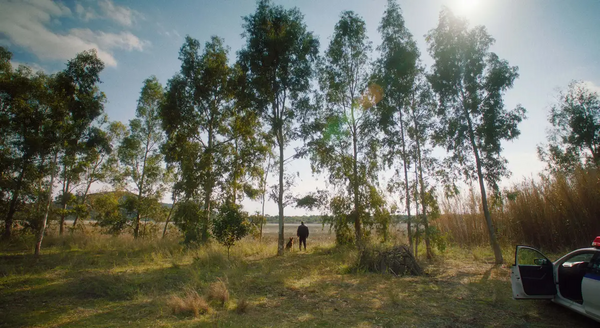 Οι ψυχές που χάθηκαν στην 74η Μπερλινάλε: Ένα νέο κεφάλαιο στο «Arcadia»
