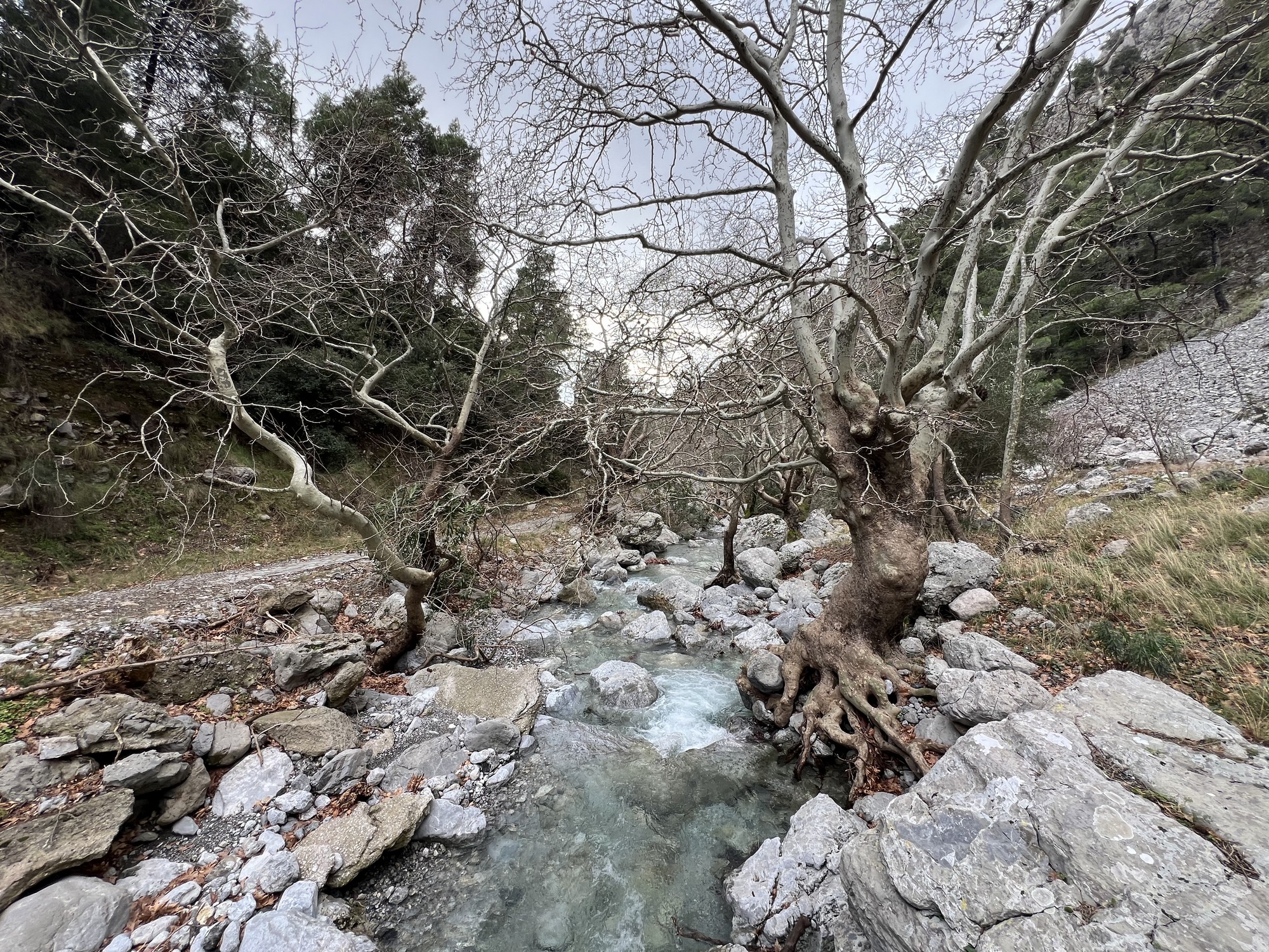 Slow Travel: Ένας κρυφός παράδεισος μόλις μια ώρα από την Αθήνα
