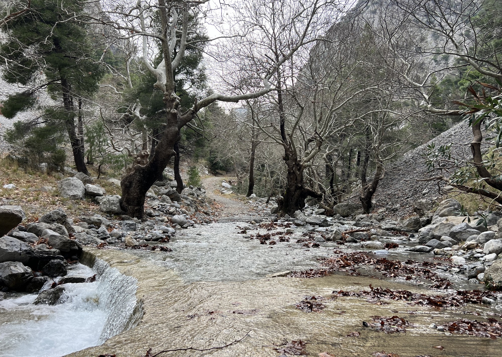 Slow Travel: Ένας κρυφός παράδεισος μόλις μια ώρα από την Αθήνα
