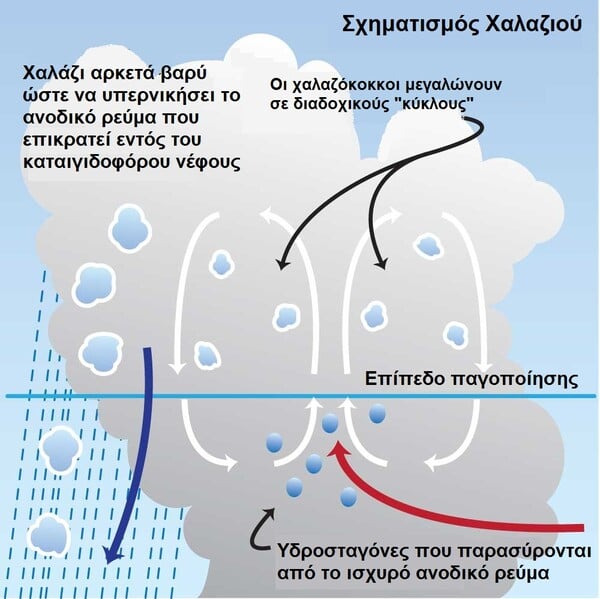 Χαλάζι κατακλύζει τους δρόμους στα Ηνωμένα Αραβικά Εμιράτα- Ένα σπάνιο φαινόμενο που προκάλεσε ζημιές
