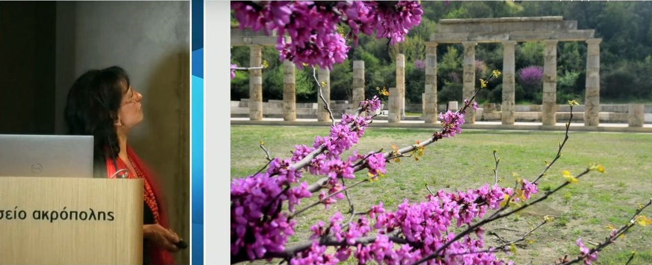 Αγγελική Κοτταρίδη: Η επιστροφή του ανακτόρου του Φιλίππου μετά από 17 χρόνια

