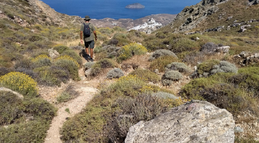 «Ανακάλυψη: Μια εξερεύνηση στον Μυστηριώδη Κόσμο της Αγνωστης Πανίδας της Σερίφου»
