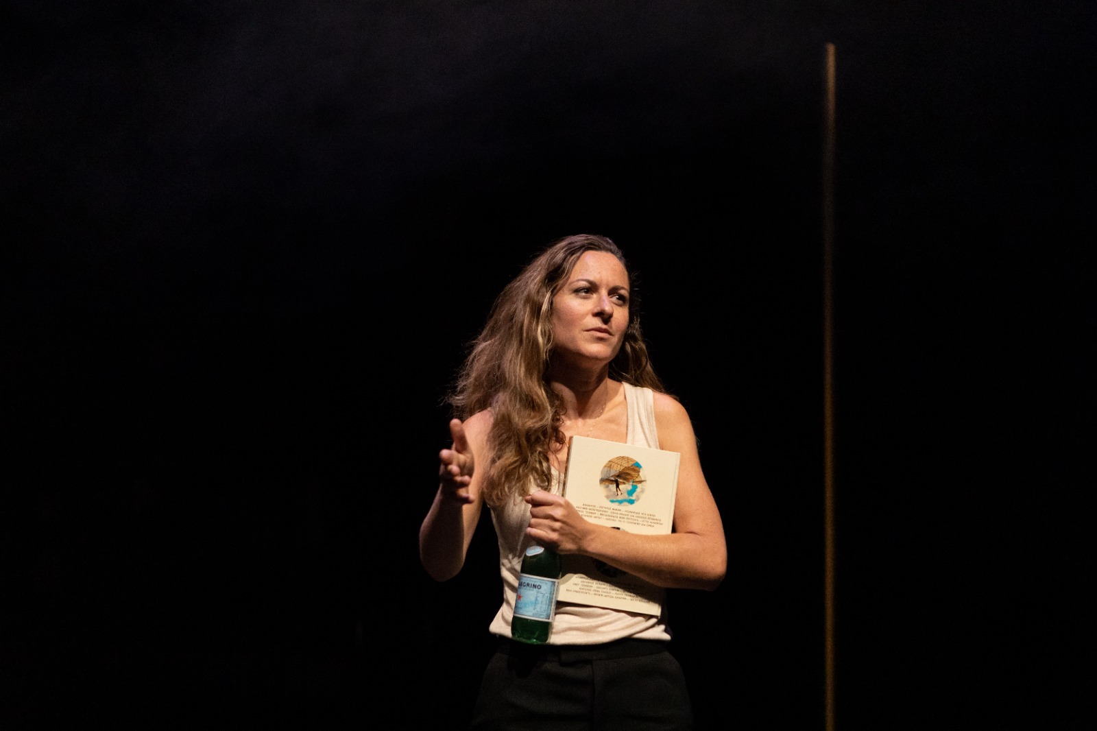 Ανακατομένοι Ονειρα-G.O.L.D: Η Αννα Λεμονάκη επιστρέφει στο θέατρο Πλύφα με μια νέα παράσταση για την αποτυχία και την επιτυχία"
