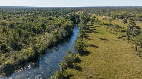 H&M and Zara Accused of Contributing to Deforestation in the Amazon by Earthsight
