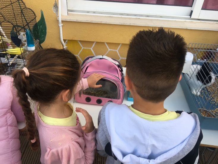 Μια μαγική μέρα στο σχολείο - Ένα μοναδικό ταξίδι με τα κατοικίδιά τους
