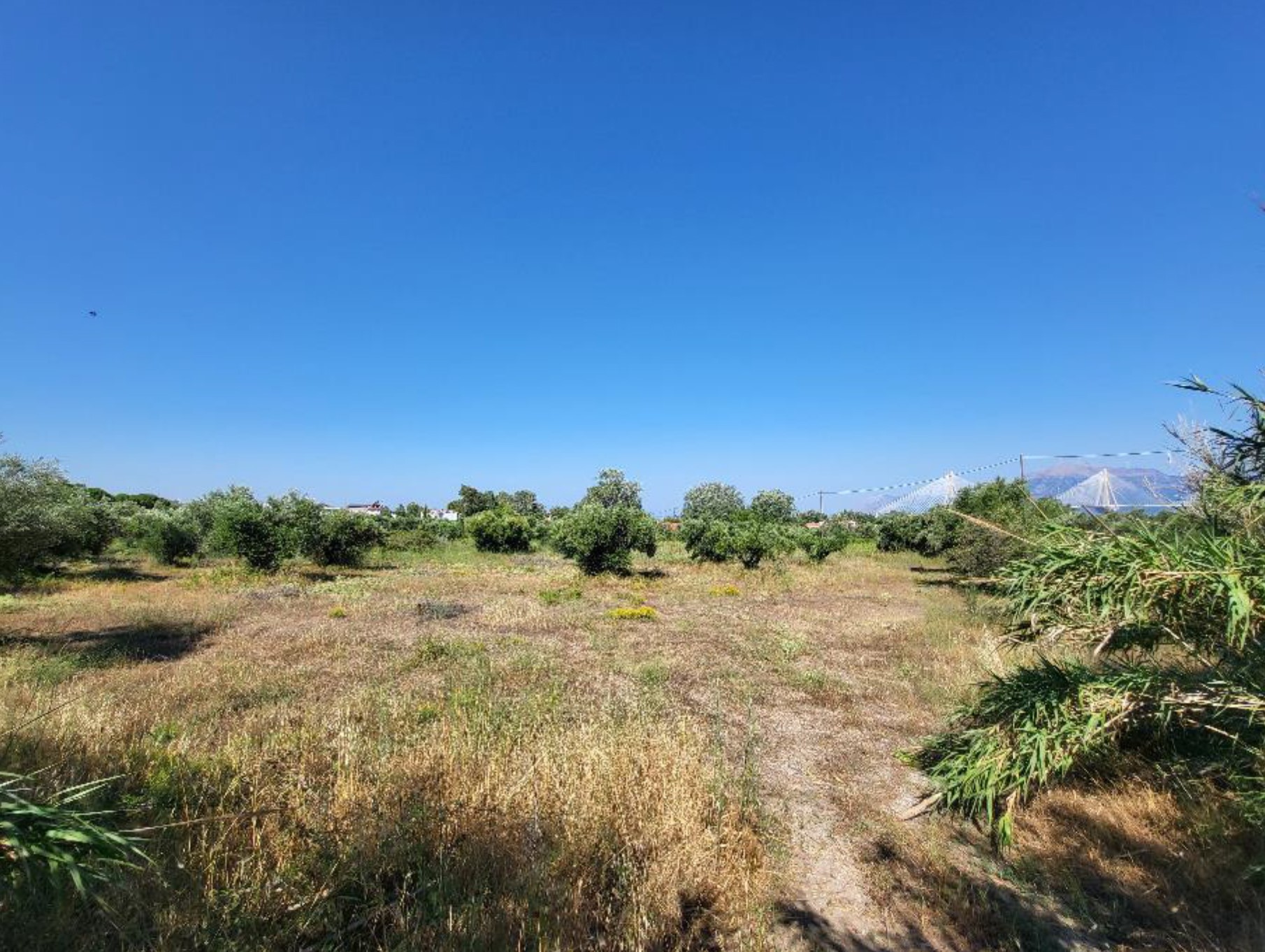 Νέα ευκαιρία για επένδυση στην Πάτρα: Ένας προκλητικός επαγγελματικός χώρος και ένα ελκυστικό οικόπεδο προς πώληση

