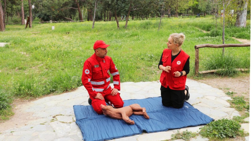 Ο Ελληνικός Ερυθρός Σταυρός φροντίζει για τα αδέσποτα: Ένας νέος τρόπος υποστήριξης των ζώων
