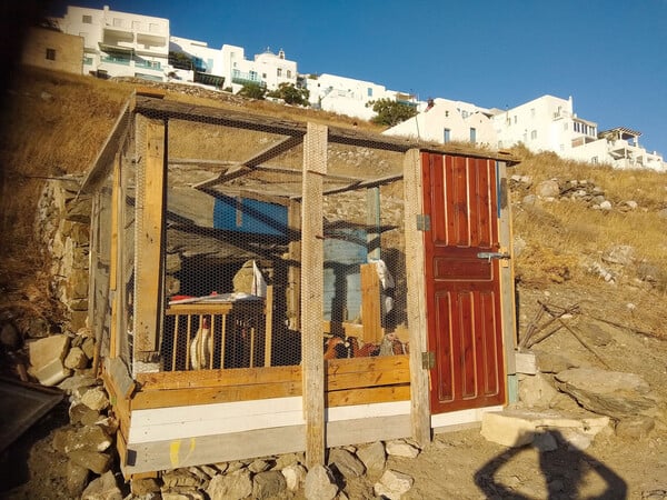 Ταξιδιωτικά ημερολόγια: Ανεκτίμητες λαϊκές καινοτομίες"
