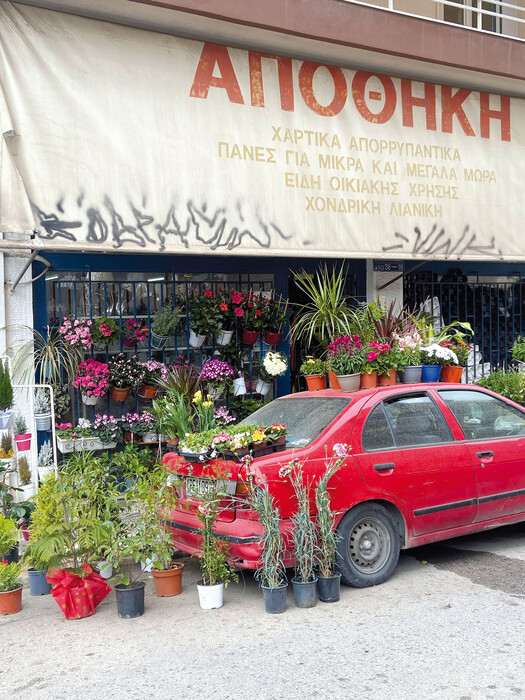 Ταξιδιωτικά ημερολόγια: Ανεκτίμητες λαϊκές καινοτομίες"

