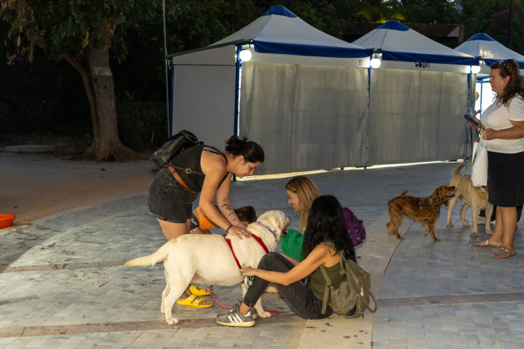 Woof Festival - ToPetmou: Ένα φεστιβάλ αφιερωμένο στα κατοικίδια
