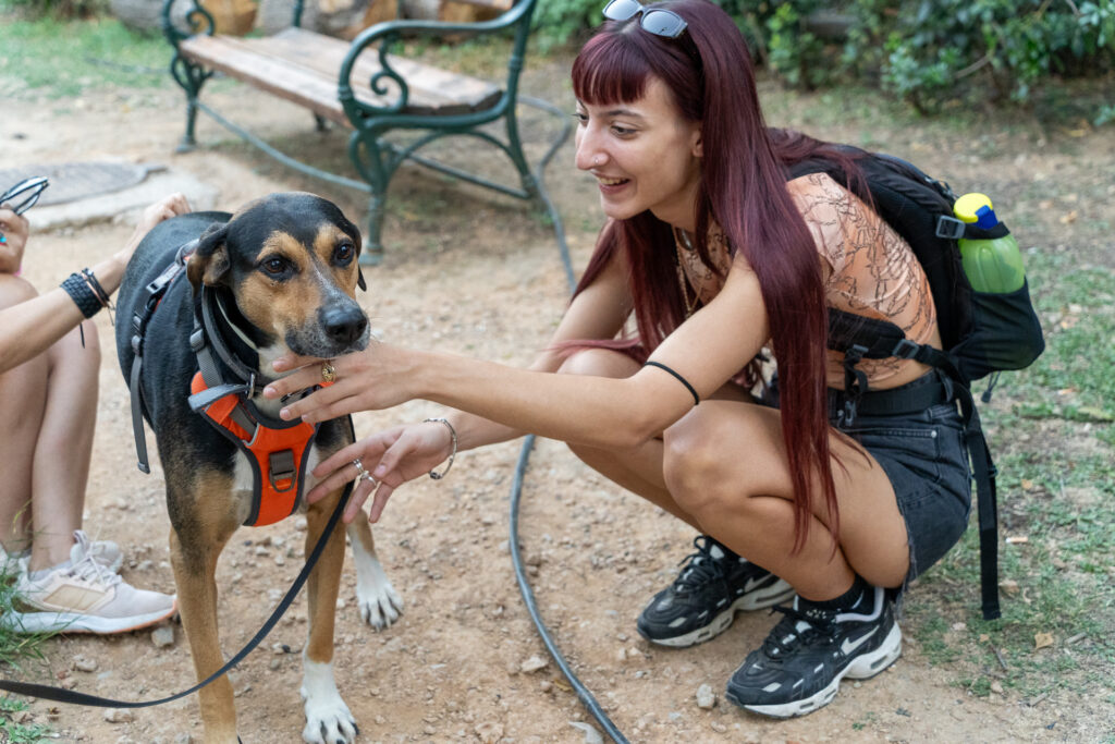 Woof Festival - ToPetmou: Ένα φεστιβάλ αφιερωμένο στα κατοικίδια
