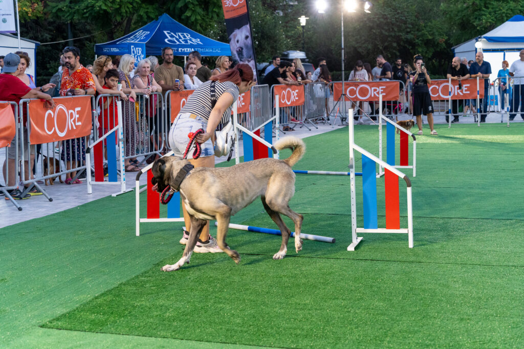 Woof Festival - ToPetmou: Ένα φεστιβάλ αφιερωμένο στα κατοικίδια
