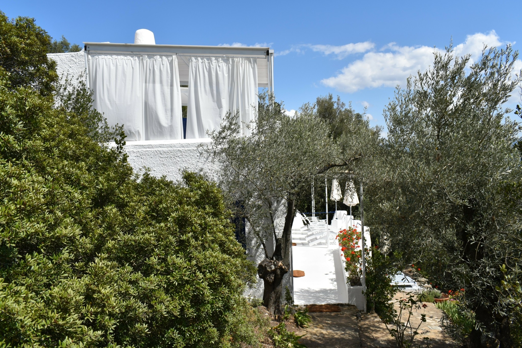 Επίγειος Παράδεισος: Η Καταγωγή του Silver Island Yoga και η Εμπειρία της Υόγκα
