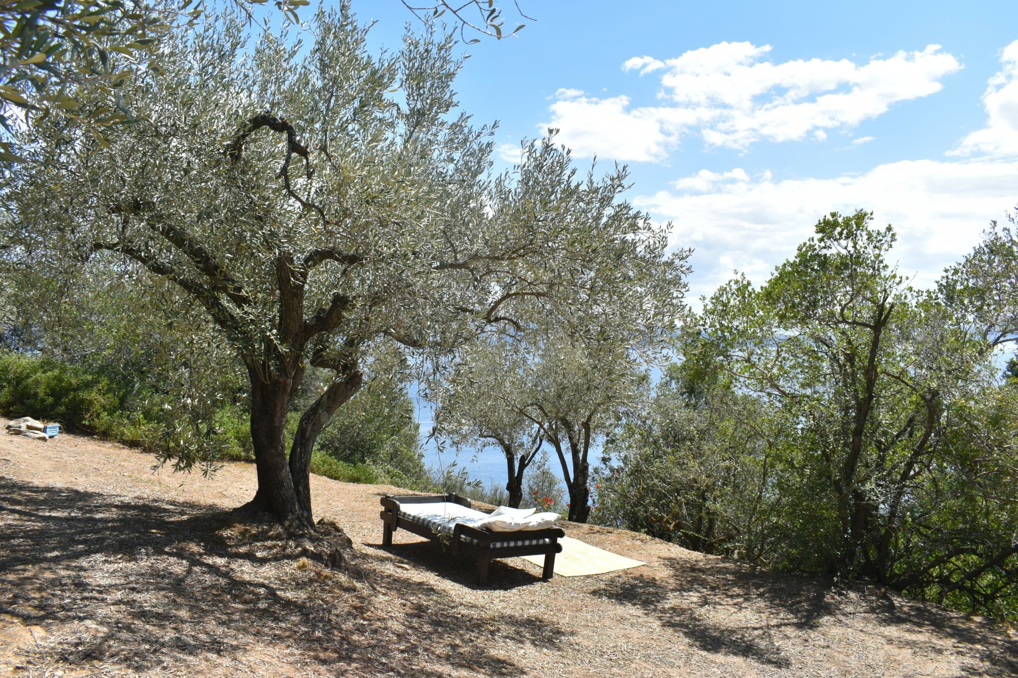 Επίγειος Παράδεισος: Η Καταγωγή του Silver Island Yoga και η Εμπειρία της Υόγκα
