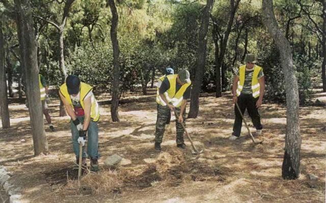 Νέα Πράσινο Ταμείο: Καλείται οι Δήμοι να υποβάλουν προτάσεις για τη δημιουργία ζωνών πυροπροστασίας
