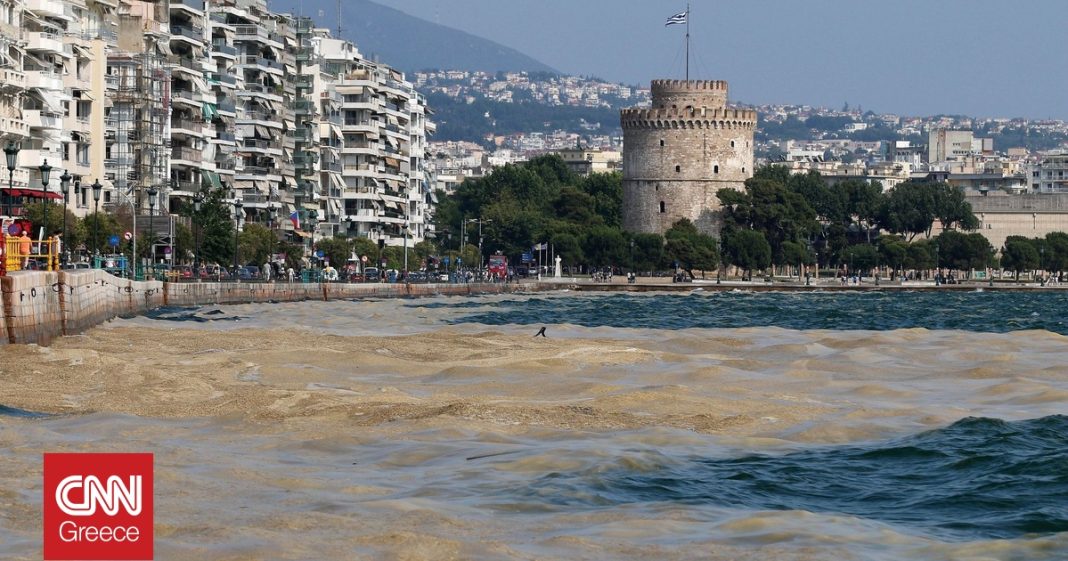 Νέος «θερμαϊκός κόλπος»: Καυσωνικές θερμοκρασίες και απειλές για το θαλάσσιο περιβάλλον
