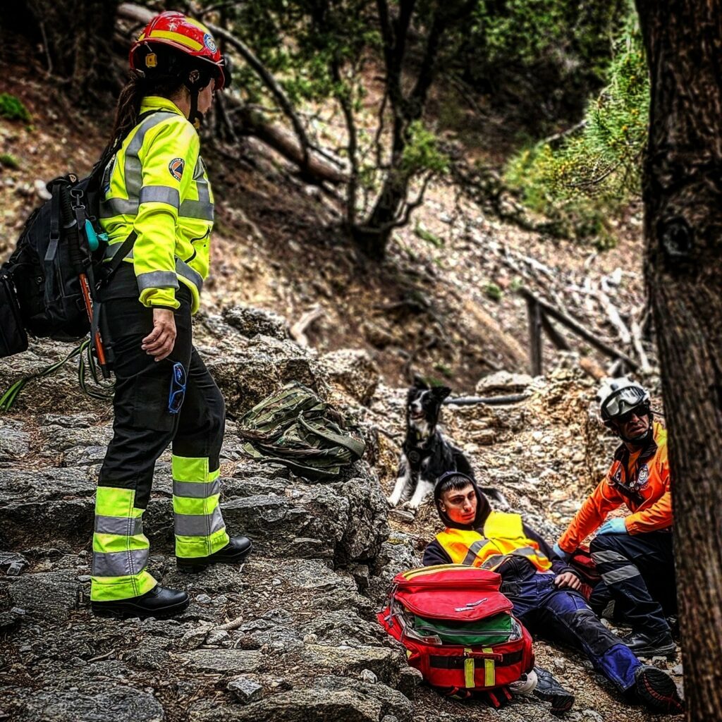 Οι Ήρωες με Τέσσερα Πόδια: Η Ανεκτίμητη Συνεισφορά των Σκύλων Διάσωσης στην Επιστροφή Αγνοουμένων Ατόμων"
