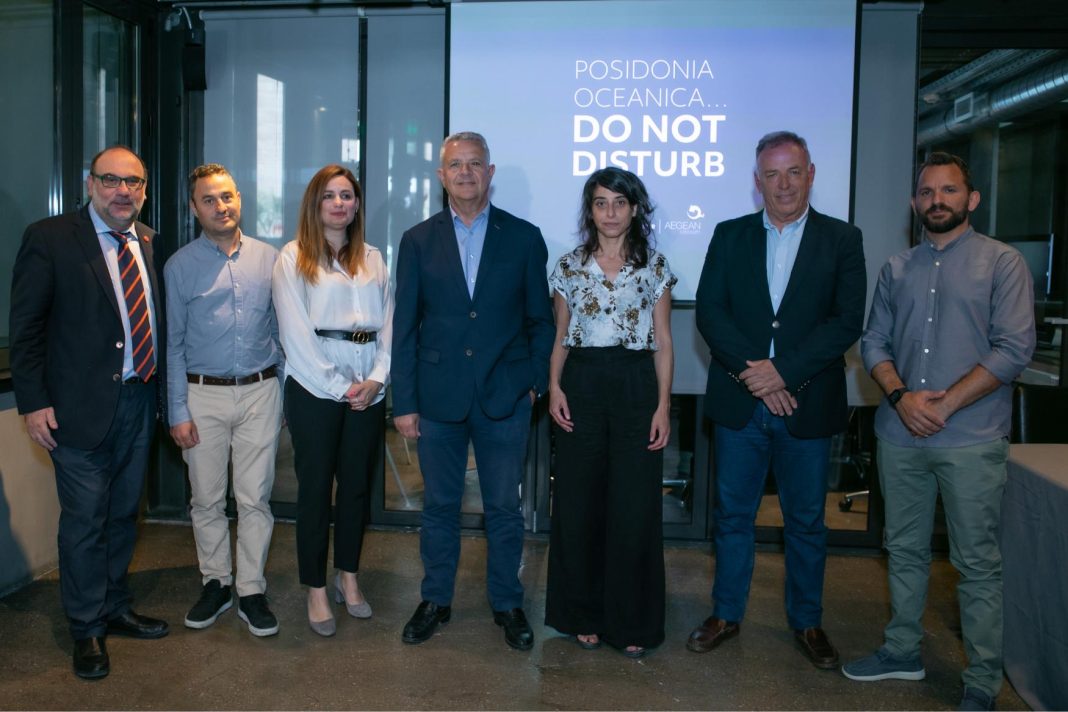 «Ποσειδωνία: Το Θησαυρός των Θαλάσσιων Λιβαδιών»: Ένα πρόγραμμα δράσης για την προστασία και αναπαραγωγή του μοναδικού θαλάσσιου φυτού (φωτογραφίες)
