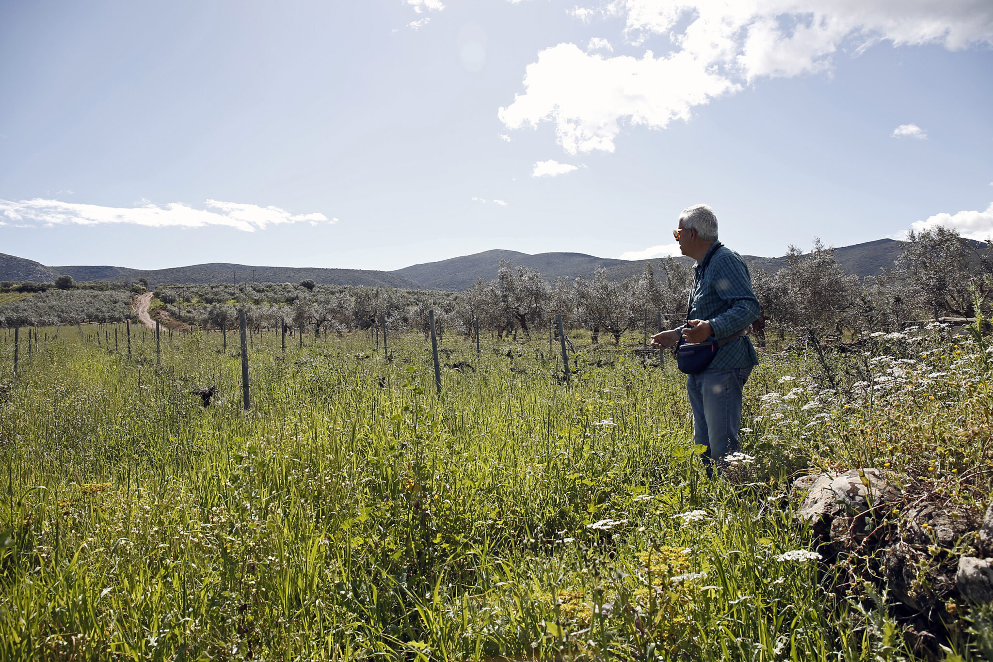 Επίσκεψη στην εμβληματική «Οινοποιητική Μονεμβασίας – Τσιμπίδη»