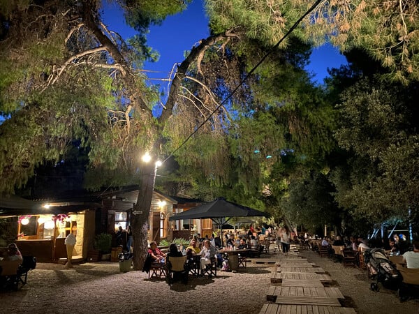 Μικροί δροσεροί παράδεισοι σε 8 αυλές της Αθήνας