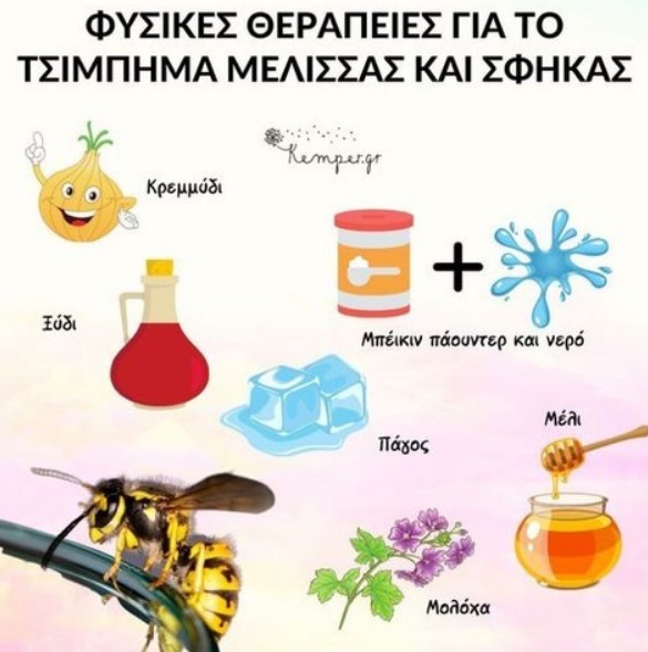 Πώς να φροντίσετε το τσίμπημα μέλισσας και σφήκας σε παιδιά με φυσικό τρόπο